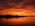 Latest_posts_thumb_avatar-aksin1