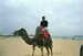 Colleague_thumb_avatar-fnkyfly