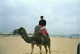 Forum_avatar_avatar-fnkyfly
