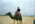 Latest_posts_thumb_avatar-fnkyfly