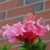Comment_thumb_avatar-lschiff7