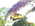 Latest_posts_thumb_avatar-gerken