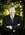 Latest_posts_thumb_avatar-realestatenc