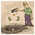 Latest_posts_thumb_avatar-oddproperties