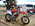 Latest_posts_thumb_avatar-rickmx7