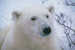 Colleague_thumb_avatar-georges