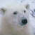 Comment_thumb_avatar-georges