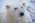 Latest_posts_thumb_avatar-georges