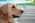 Latest_posts_thumb_avatar-gwynngirl