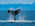 Latest_posts_thumb_avatar-caliban6666