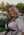 Latest_posts_thumb_avatar-shortcutz