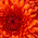 Latest_posts_thumb_avatar-hday01