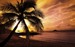 Colleague_thumb_avatar-dhaymond