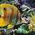 Comment_thumb_avatar-daddydesd