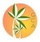 Colleague_thumb_avatar-benjamindona