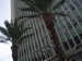 Colleague_thumb_avatar-nsyteinc