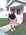 Latest_posts_thumb_avatar-nulif628