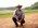 Latest_posts_thumb_avatar-ggg1955