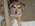 Latest_posts_thumb_avatar-fencermcgee