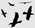 Latest_posts_thumb_avatar-rook_llc
