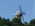 Latest_posts_thumb_avatar-xraystokes