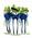 Latest_posts_thumb_avatar-missdg