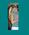 Latest_posts_thumb_avatar-julesrules