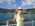 Latest_posts_thumb_avatar-kashmeister