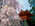 Latest_posts_thumb_avatar-terriberri
