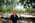 Latest_posts_thumb_avatar-brickbybrick