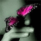 Colleague_thumb_avatar-njohnson