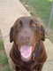 Forum_avatar_avatar-buddy03