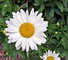 Colleague_thumb_avatar-phoebe_king