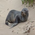 Latest_posts_thumb_avatar-joergw