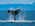 Latest_posts_thumb_avatar-nilk