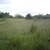 Comment_thumb_avatar-dancehalldon