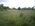 Latest_posts_thumb_avatar-dancehalldon