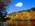 Latest_posts_thumb_avatar-abcman