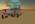 Latest_posts_thumb_avatar-southernstar