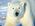 Latest_posts_thumb_avatar-samanthia99