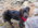 Latest_posts_thumb_avatar-takleberry