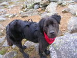 Profile_badge_avatar-takleberry