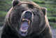 Forum_avatar_avatar-realestatestan