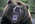 Latest_posts_thumb_avatar-realestatestan