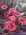 Latest_posts_thumb_avatar-natalie