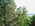 Latest_posts_thumb_avatar-cre