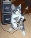 Forum_avatar_avatar-knick101