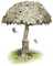 Colleague_thumb_avatar-hoggy_wilson