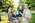 Latest_posts_thumb_avatar-cashflowlinks