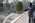 Latest_posts_thumb_avatar-pnoi_evo
